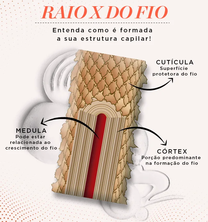 Conheça a estrutura capilar.